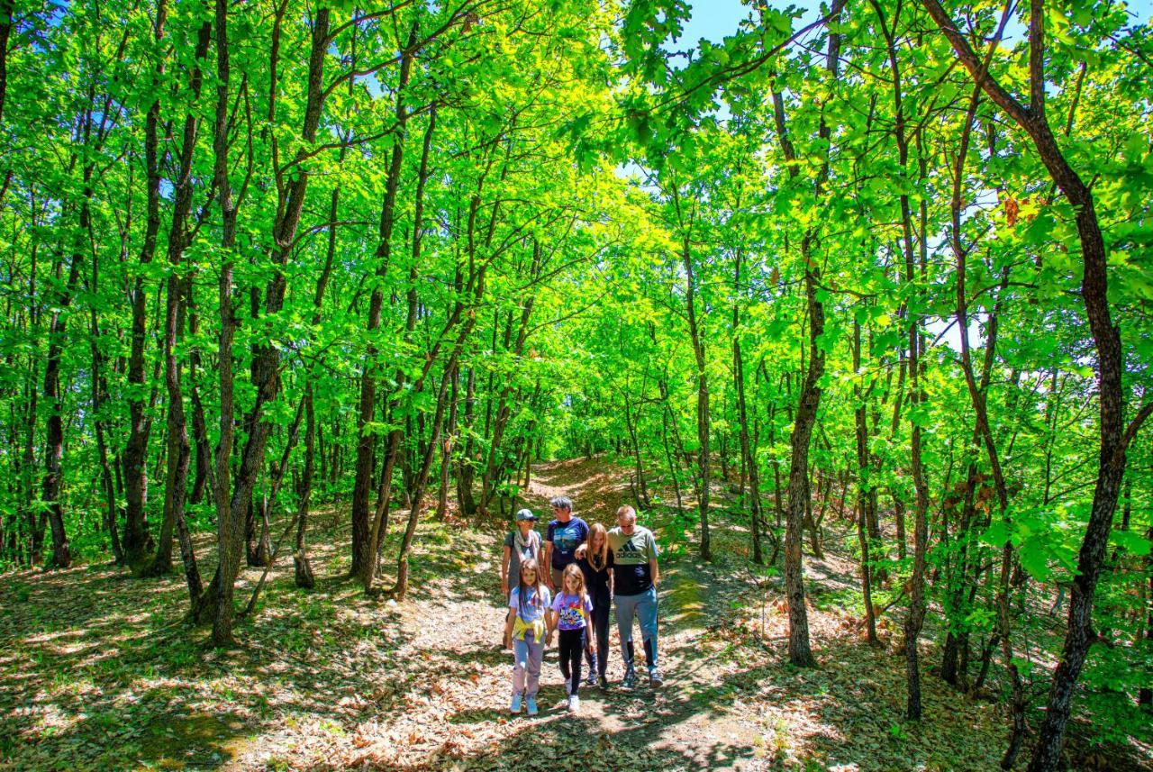 Villa Amigosranch Kruševac Esterno foto