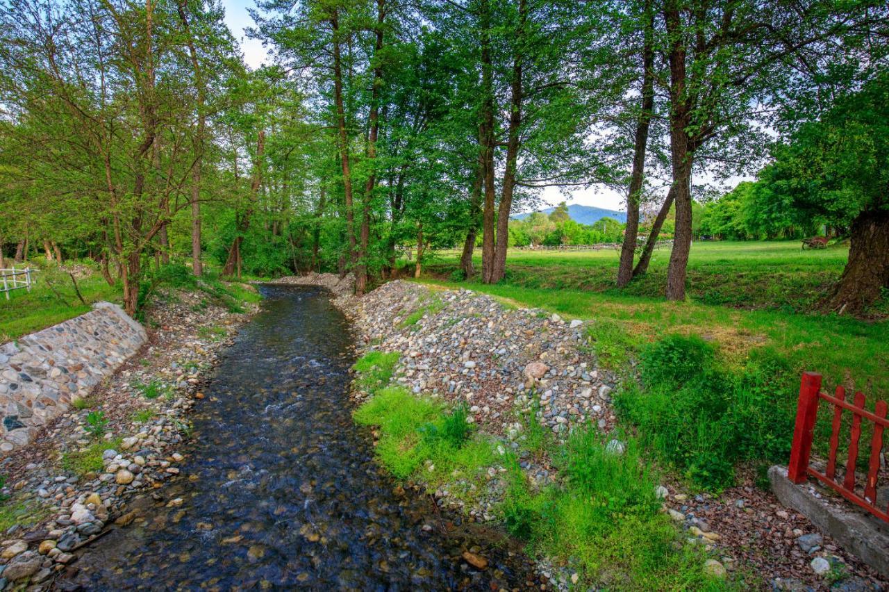 Villa Amigosranch Kruševac Esterno foto