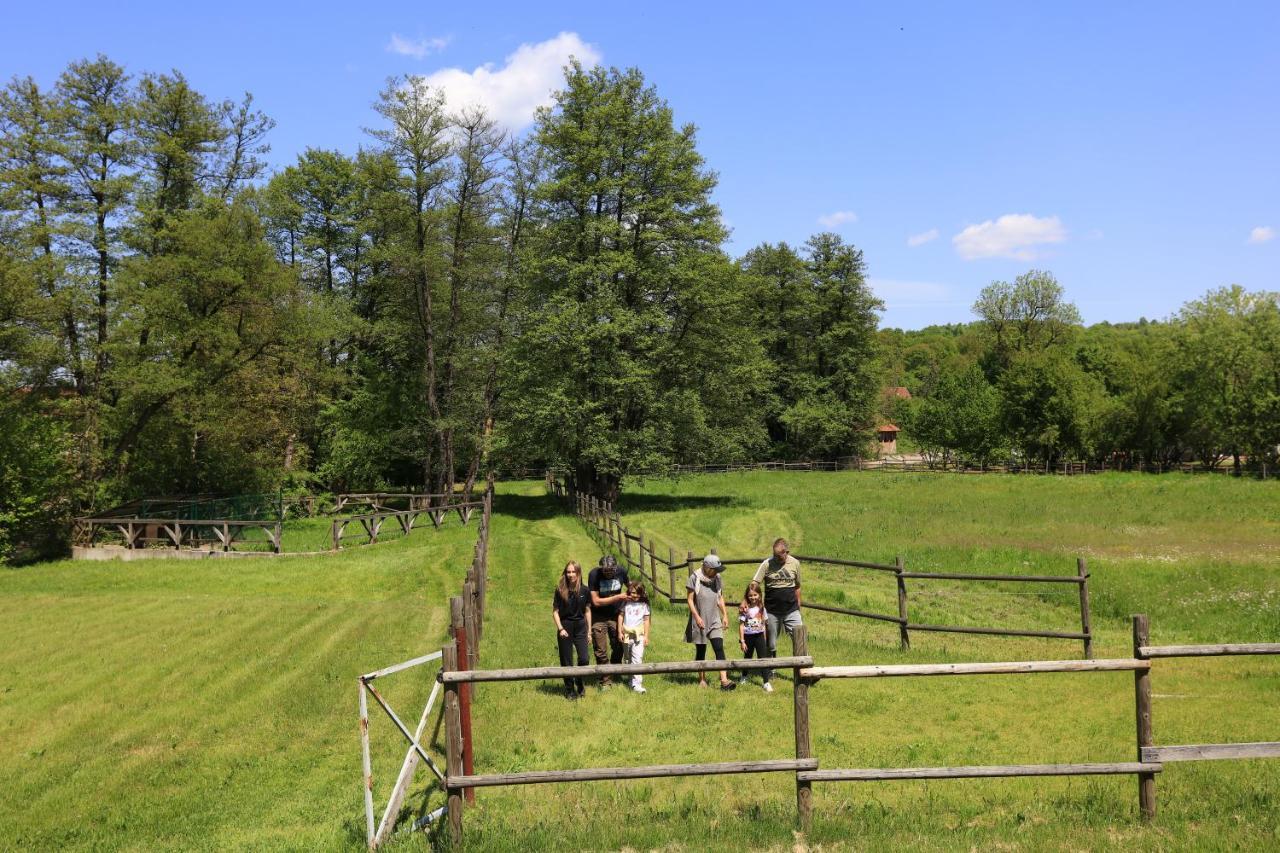 Villa Amigosranch Kruševac Esterno foto