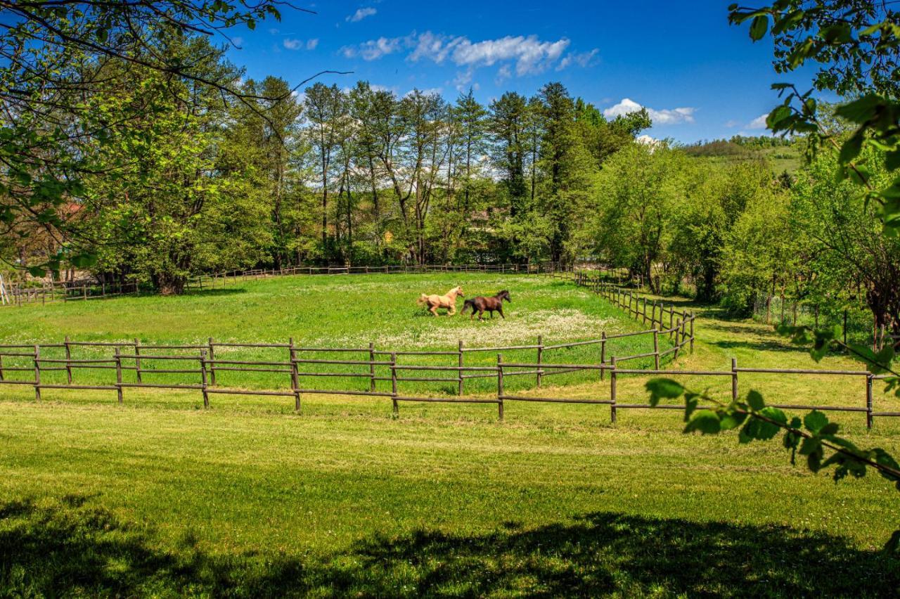 Villa Amigosranch Kruševac Esterno foto